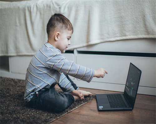 上海权威的不孕不育医院排名